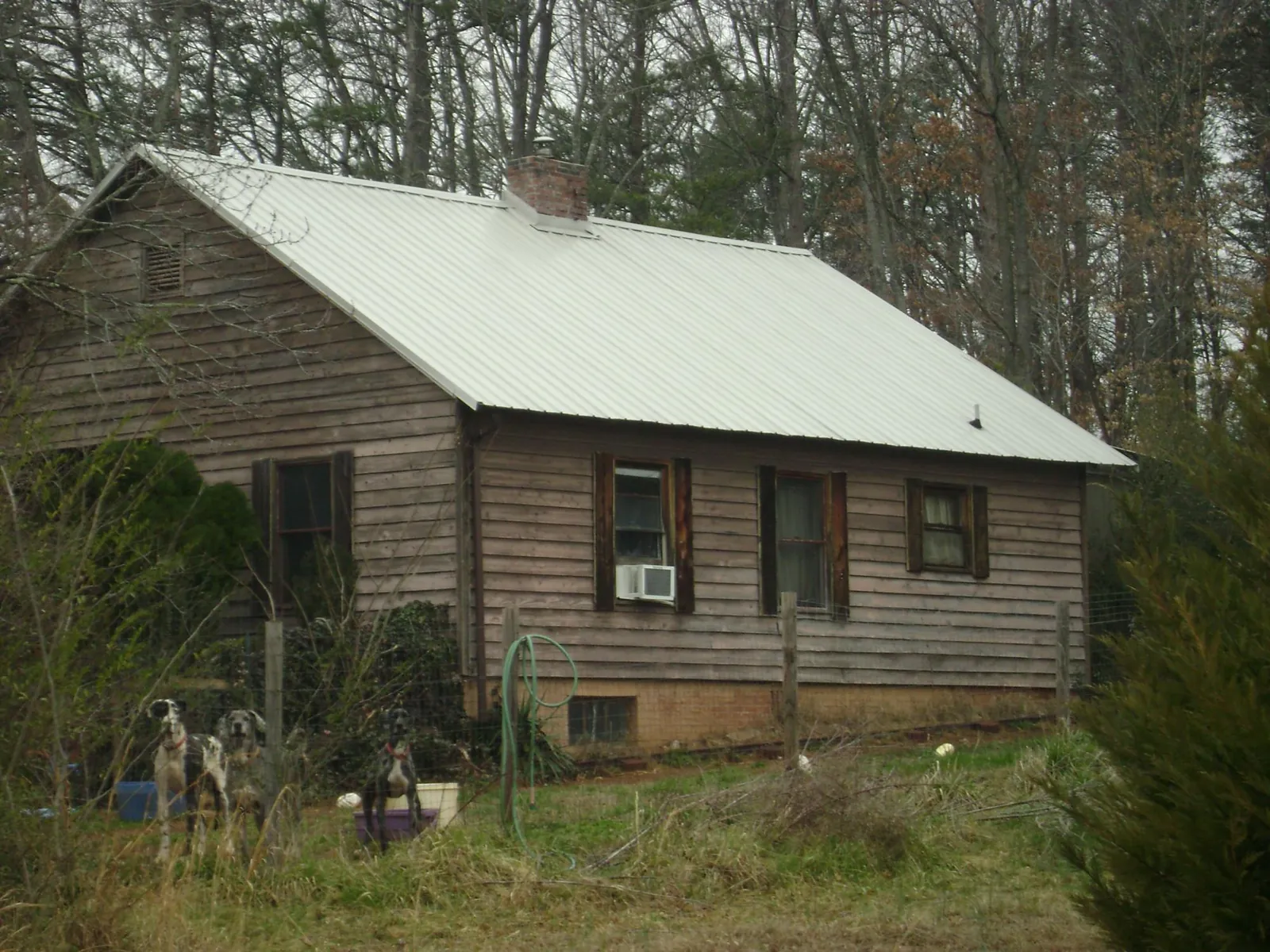 White metal roof on an old wood sided farmhouse, from a Metal Roof Installation job in Orting